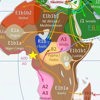 DNAArabic's profile picture