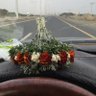 الـــــوافـــــي's profile picture