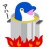 どんちゃん's profile picture