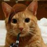 hatastavok profil fotoğrafı