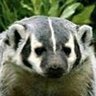 Profilbild von gudio