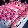 Фото профиля نجاة الأحمدي