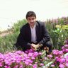 Adel profil fotoğrafı