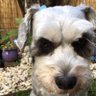 Marty's profile picture