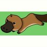 Platy 的头像