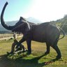 awesome profil fotoğrafı