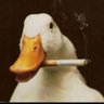 Profilbild von Mr. T