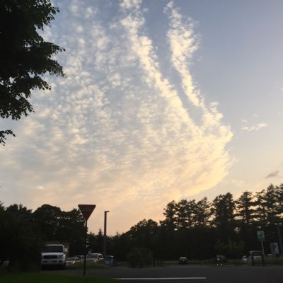Nob Koi's profile picture