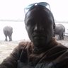 Profilbild von DYSON CHIVASA