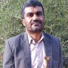 أحمد احمد اليماني's profile picture