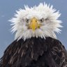 catlove profil fotoğrafı