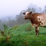 Seamus Dunne's profile picture