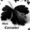 Black Coriander 🍉 profil fotoğrafı