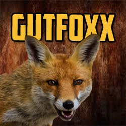 Gutfoxx's profile picture