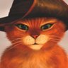 Phoenix's profile picture