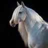 Фото профиля Mary Graybeal