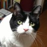 ヨリ2005's profile picture
