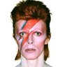 Bowiee's profile picture