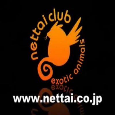 nettai_club's profile picture