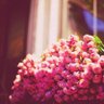 ѕнiσσκн..♡ profil fotoğrafı