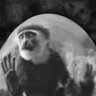 Profilbild von Hugh Ed Gallus