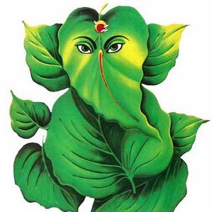 Nimblr's profile picture