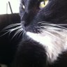 Max3000's profile picture
