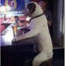 拝音犬 profil fotoğrafı
