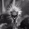 Фото профиля daffy
