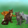 Firestar profil fotoğrafı
