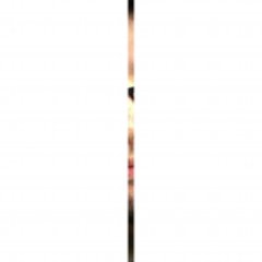 moxus's profile picture