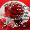 هبوب الشمال 的头像