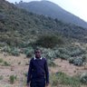 Bornface mugodo's profile picture