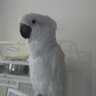 Фото профиля Oscar