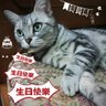 Фото профиля zdkic