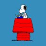 knowhere_but_USA🇺🇸's profile picture
