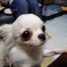 kazumi profil fotoğrafı