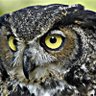 Kay Mcv profil fotoğrafı