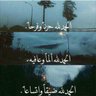 علاوي's profile picture