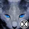 Dame Lauren Alder Ⓥ's profile picture