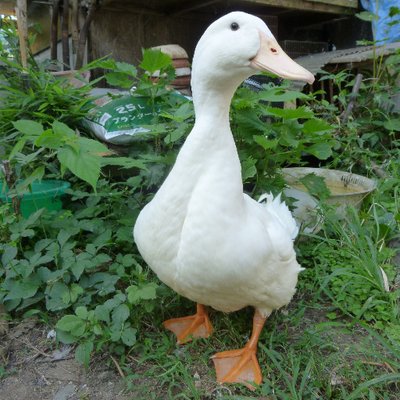 mgmmd08010's profile picture