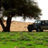Фото профиля فرحان عشبان الرويحلي