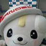 ai21 的头像