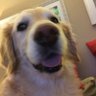 clownschool's profile picture