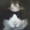 Rabbit AJS7 的头像