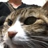 PioneerX's profile picture