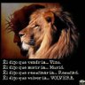 Profilbild von Mario Garcia