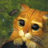 Eirik Hauge's profile picture