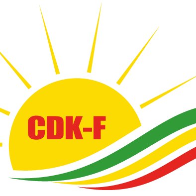 Conseil Démocratique Kurde en France's profile picture