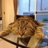 リョウ profil fotoğrafı